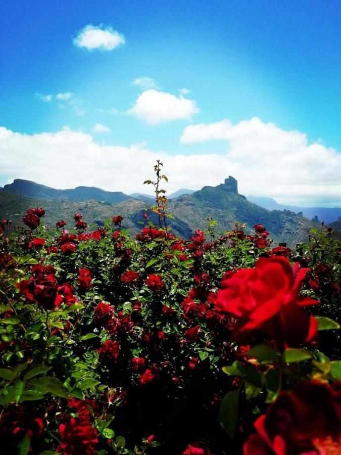 El Rincon Del Nublo Guest House Tejeda  Eksteriør bilde